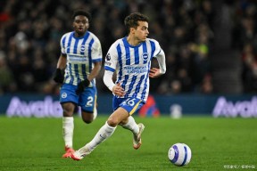 清晨纽卡斯尔备战足总杯，强势反弹细节曝光，赛场秩序良好，球队文化再被提及的简单介绍